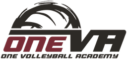 One Volleyball Academy banner logo