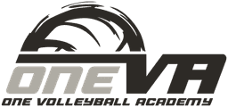 One Volleyball Academy banner logo